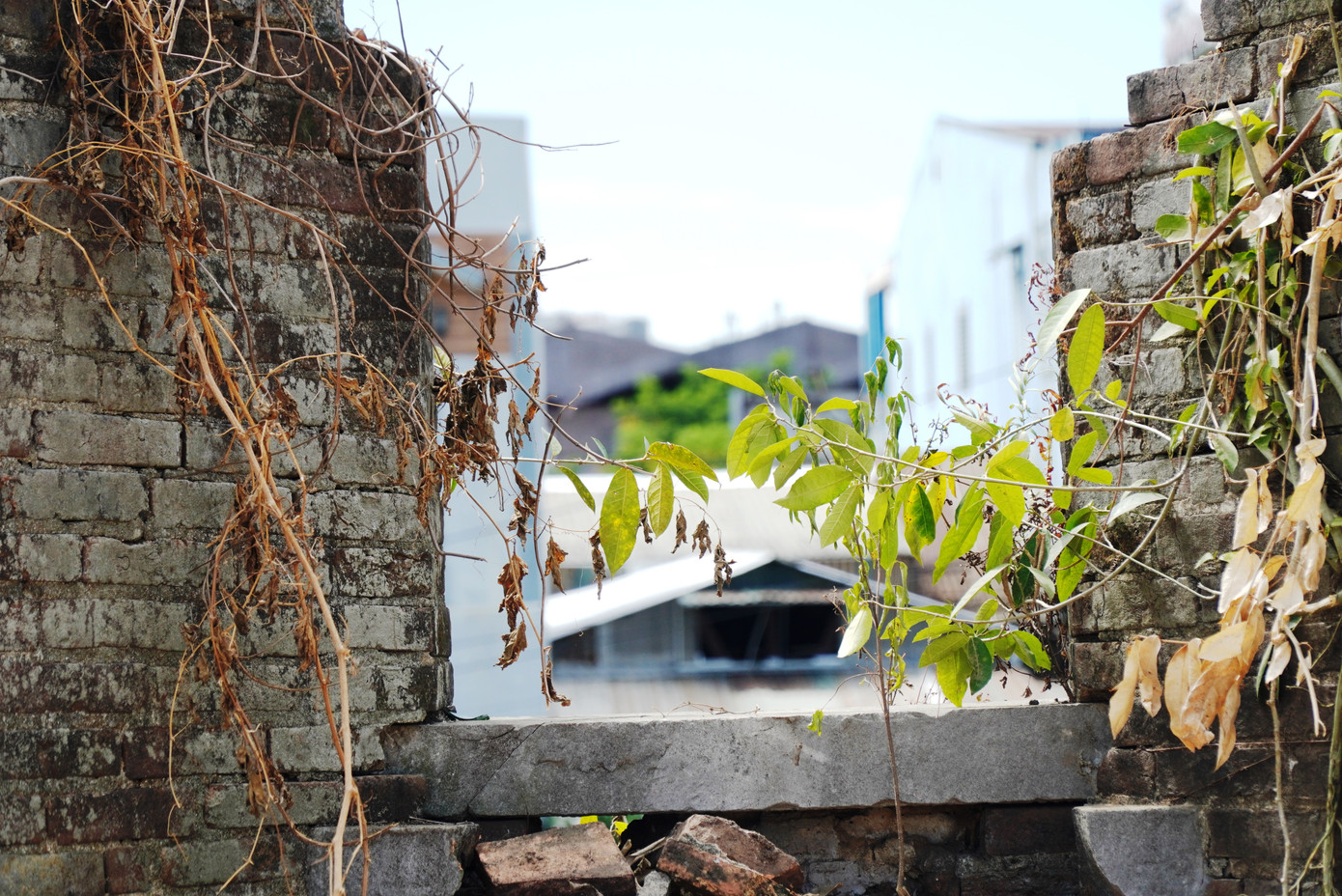 Tuy nhiên, vẫn còn những ô pháo nhãn gần như còn nguyên vẹn.