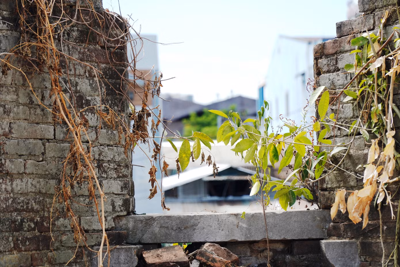 Tuy nhiên, vẫn còn những ô pháo nhãn gần như còn nguyên vẹn.