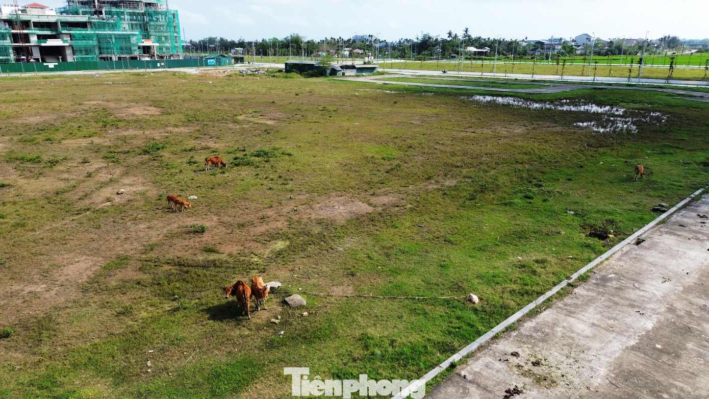 Nơi đây hiện còn được người dân địa phương dùng làm bãi chăn thả gia súc. Nơi đây hiện còn được người dân địa phương dùng làm bãi chăn thả gia súc.