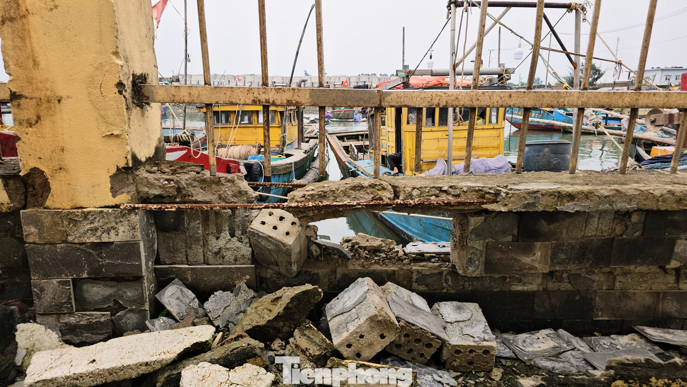 Tuy nhiên, việc neo cột, cố định phương tiện tàu cá không đúng vị trí trụ neo so với trước đây, lối lên bờ đã bị rào chắn, dẫn tới tình trạng xâm hại hệ thống hàng rào bằng kết cấu tường móng bê tông, chấn song kim loại.