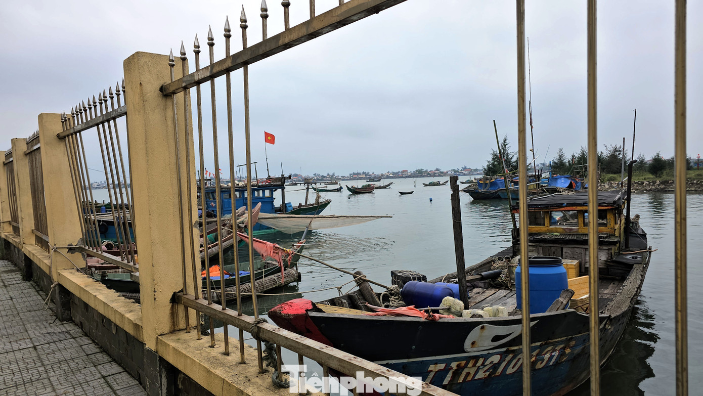 Tuy nhiên, việc neo cột, cố định phương tiện tàu cá không đúng vị trí trụ neo so với trước đây, lối lên bờ đã bị rào chắn, dẫn tới tình trạng xâm hại hệ thống hàng rào bằng kết cấu tường móng bê tông, chấn song kim loại.