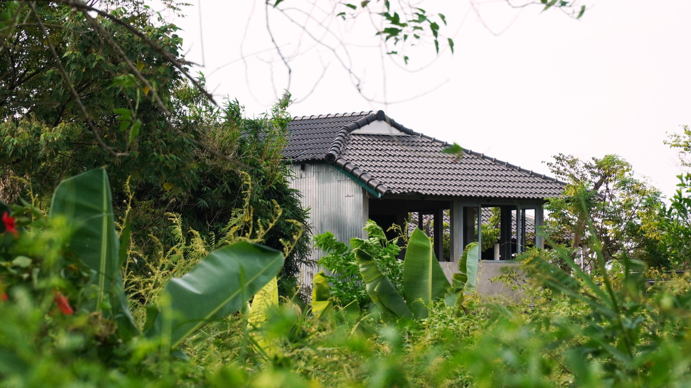 Trong thời hạn 60 ngày kể từ ngày lập biên bản vi phạm hành chính, chủ đầu tư dự án Go Green Farm phải làm thủ tục đề nghị cơ quan có thẩm quyền cấp giấy phép xây dựng Trong thời hạn 60 ngày kể từ ngày lập biên bản vi phạm hành chính, chủ đầu tư dự án Go Green Farm phải làm thủ tục đề nghị cơ quan có thẩm quyền cấp giấy phép xây dựng