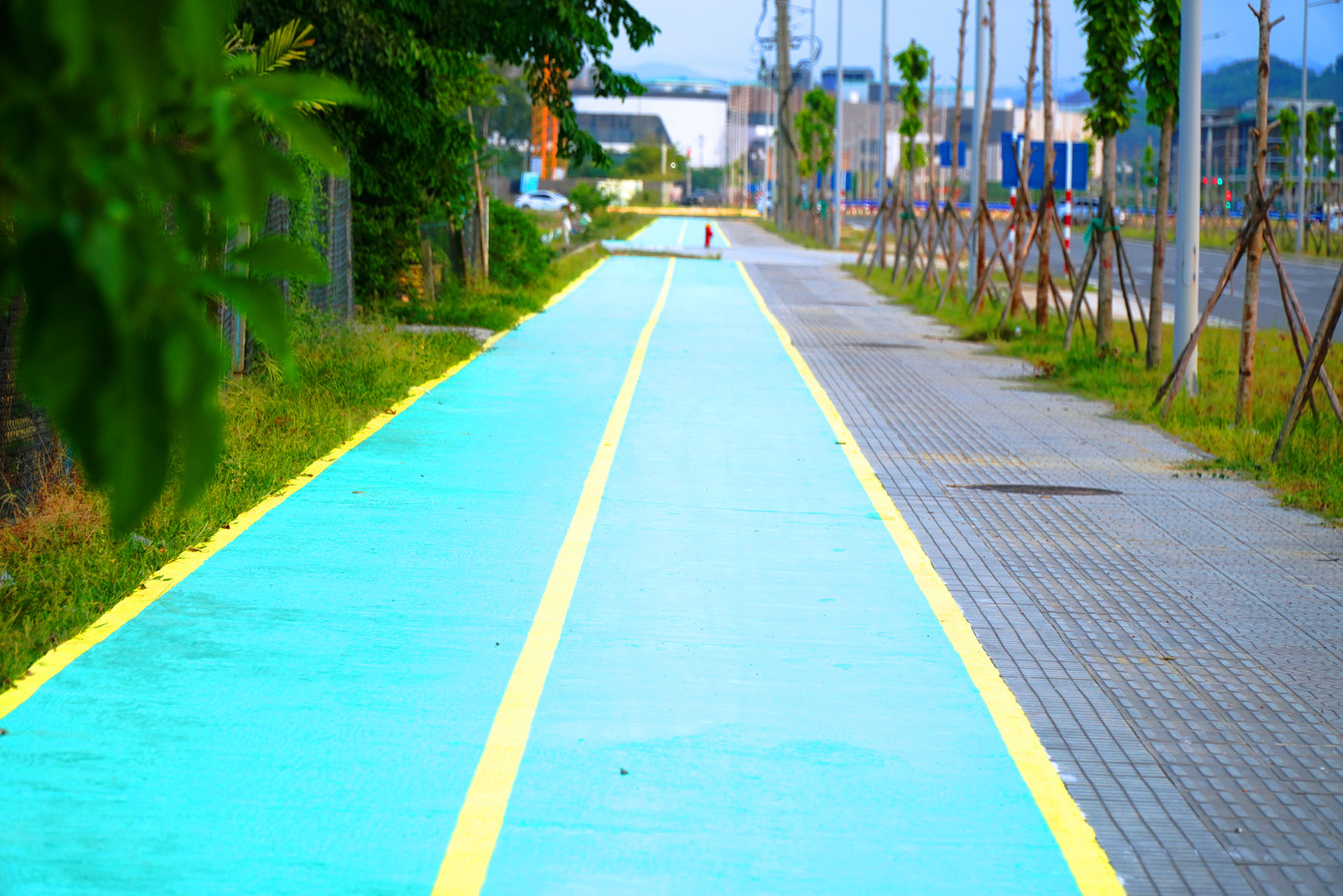 Đáng chú ý, những ngày gần đây, đơn vị nhà thầu thi công vỉa hè, cây xanh đã cho tiến hành sơn một phần vỉa hè, với màu xanh lá gần như đồng nhất kéo dài hàng km. Đáng chú ý, những ngày gần đây, đơn vị nhà thầu thi công vỉa hè, cây xanh đã cho tiến hành sơn một phần vỉa hè, với màu xanh lá gần như đồng nhất kéo dài hàng km.