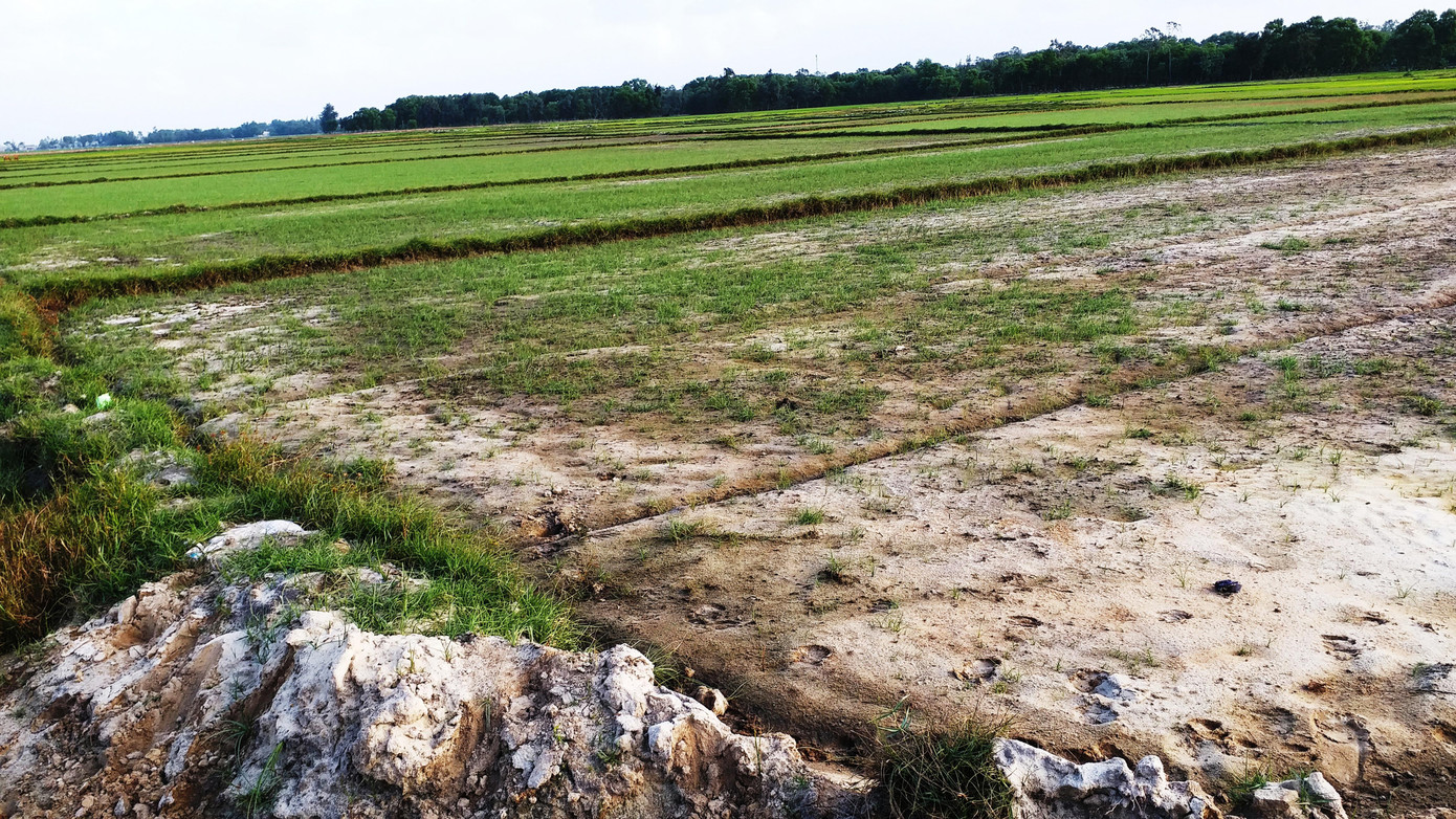 Huế nắng nóng kỷ lục, dân chắt gạn từng khối nước cứu lúa ảnh 7