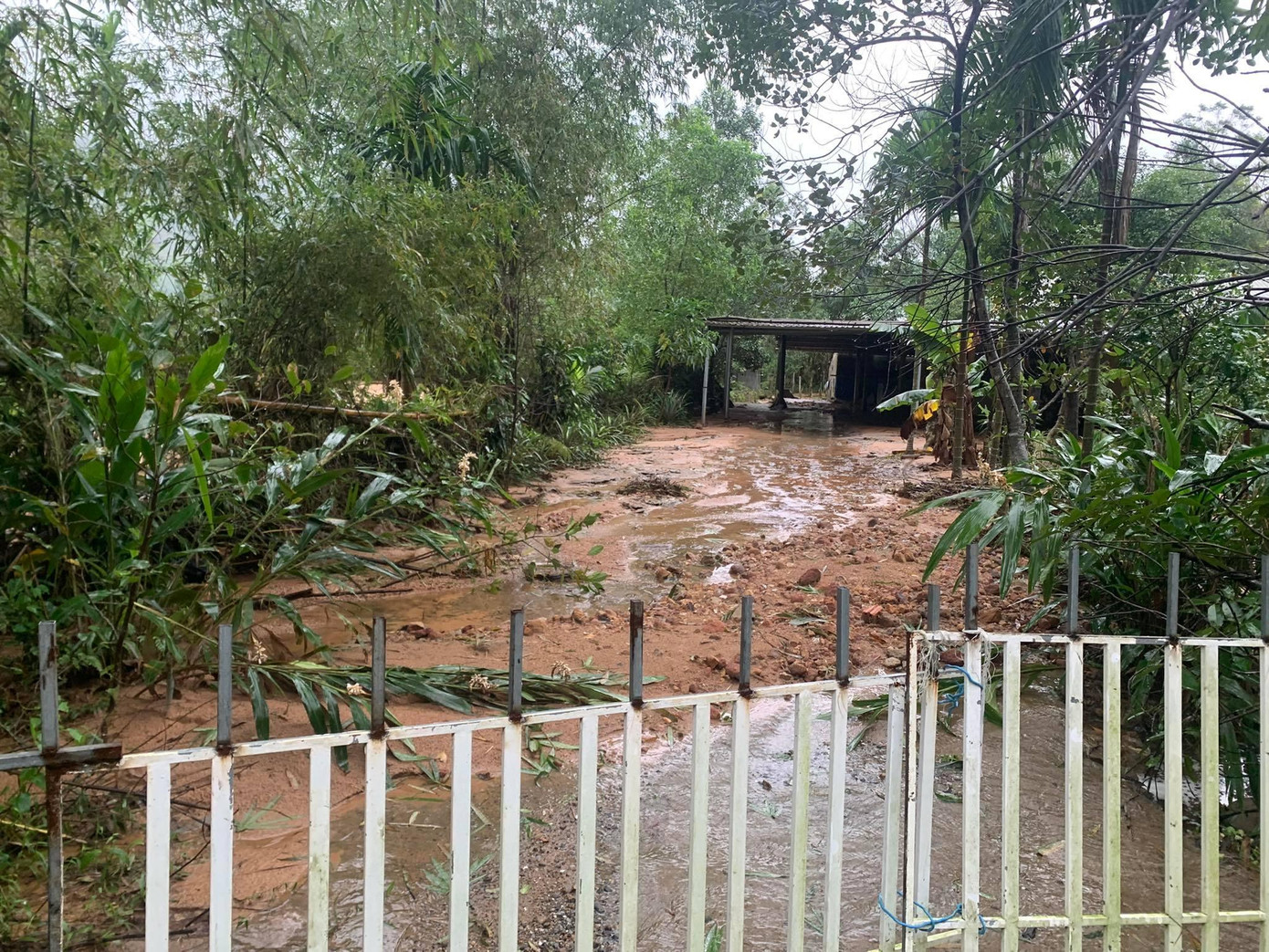 Đất, đá theo lũ bùn trôi vào nhà dân dưới chân núi Phú Gia. Ảnh: Minh Trần