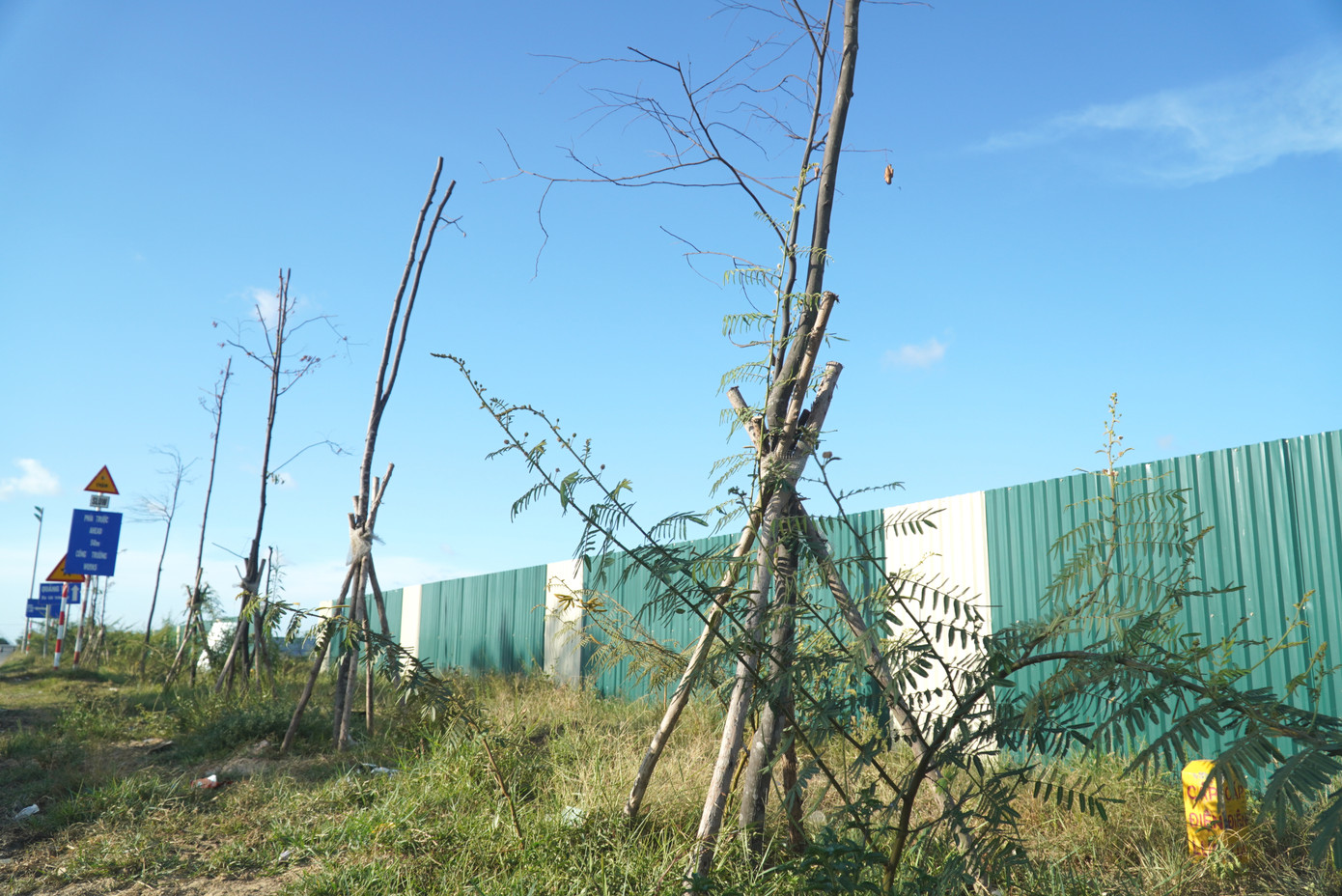 Cũng theo thông tin từ BQL Dự án Đầu tư Xây dựng và Phát triển Đô thị tỉnh TT-Huế, liên quan dự án trạm biến áp 110kV, dự án không chỉ ảnh hưởng hệ thống cây xanh vỉa hè đường Thủy Dương - Thuận An, sau khi thi công tuyến cáp ngầm 22kv đấu nối từ Km7+170m đến Km10+483m, công tác hoàn trả mặt bằng rất chậm làm mất vệ sinh môi trường và mỹ quan đô thị. Cũng theo thông tin từ BQL Dự án Đầu tư Xây dựng và Phát triển Đô thị tỉnh TT-Huế, liên quan dự án trạm biến áp 110kV, dự án không chỉ ảnh hưởng hệ thống cây xanh vỉa hè đường Thủy Dương - Thuận An, sau khi thi công tuyến cáp ngầm 22kv đấu nối từ Km7+170m đến Km10+483m, công tác hoàn trả mặt bằng rất chậm làm mất vệ sinh môi trường và mỹ quan đô thị.