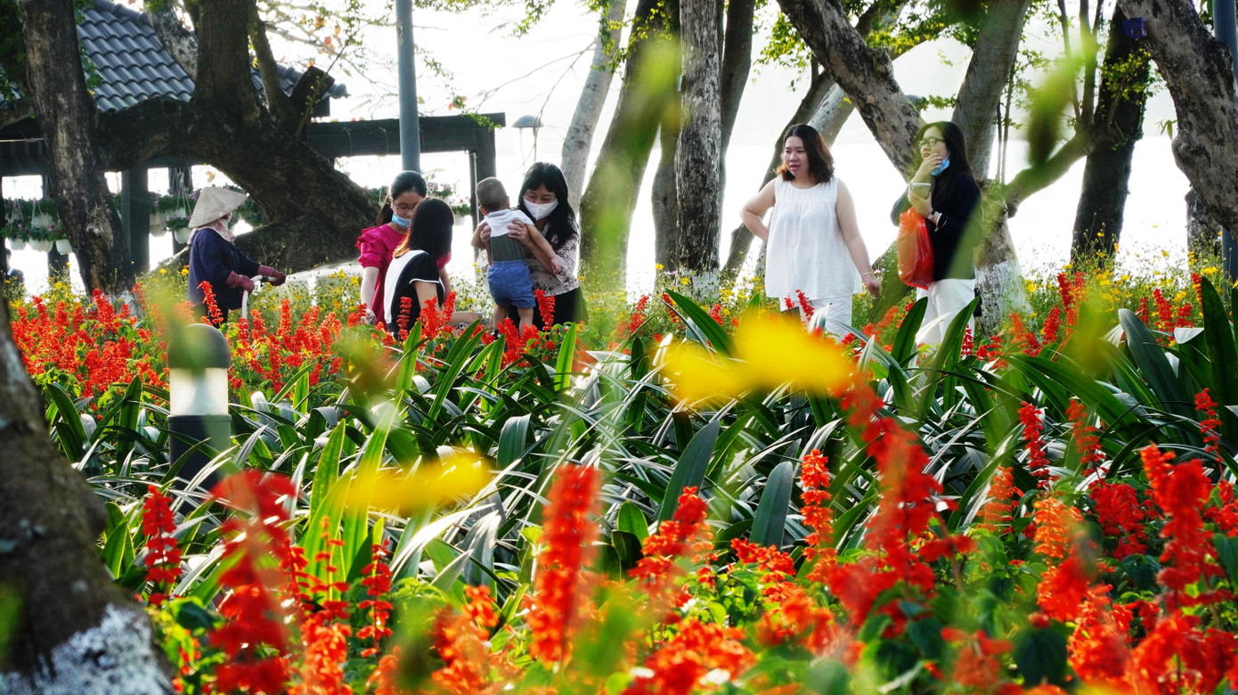 Check in hoa viên ven sông Hương và cây cầu gỗ lim nổi tiếng