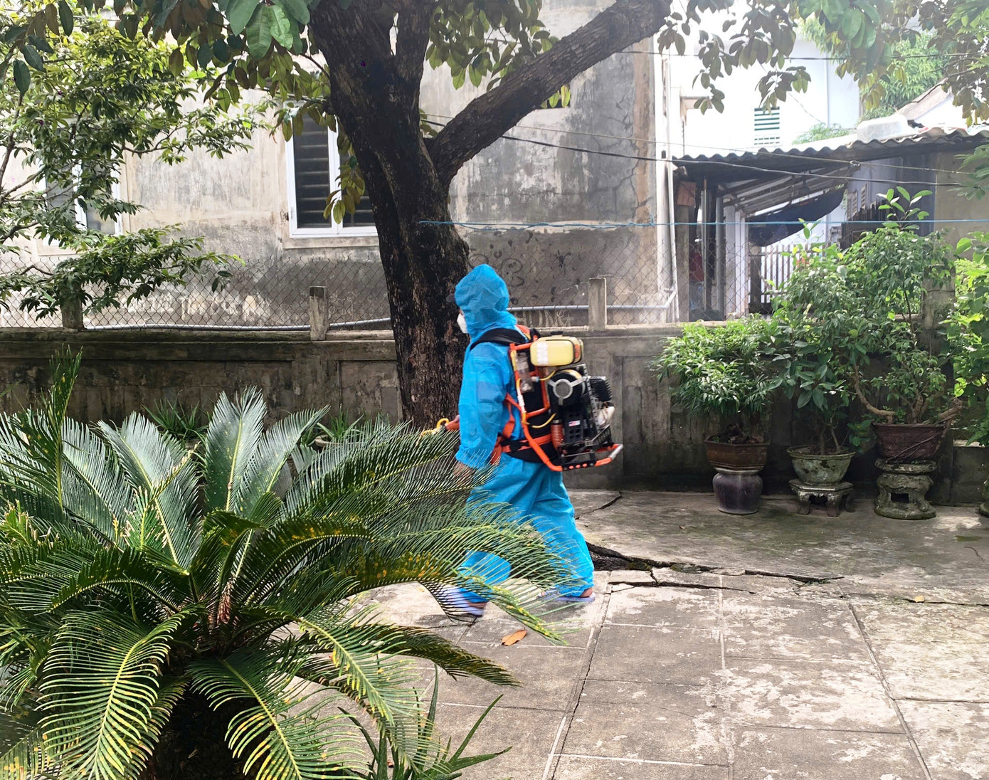 Phun tiêu độc khử trùng khu vực có người mắc liên cầu khuẩn lợn.