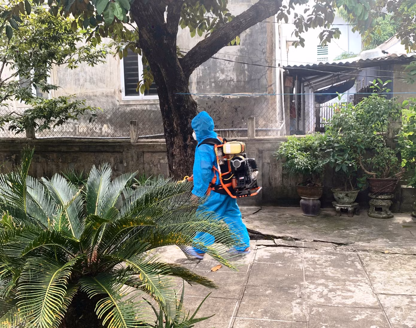 Phun tiêu độc khử trùng khu vực có người mắc liên cầu khuẩn lợn.