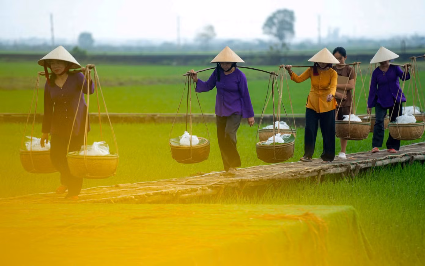 Trong ngày lễ đón nhận bằng công nhận nghề làm bún Vân Cù là Di sản văn hóa phi vật thể quốc gia, UBND thị xã Hương Trà và xã Hương Toàn đã tổ chức nhiều hoạt động văn hóa, nghệ thuật, quảng diễn nhằm quảng bá, bảo tồn và phát huy giá trị của di sản này, thu hút đông đảo du khách và người dân tham gia.