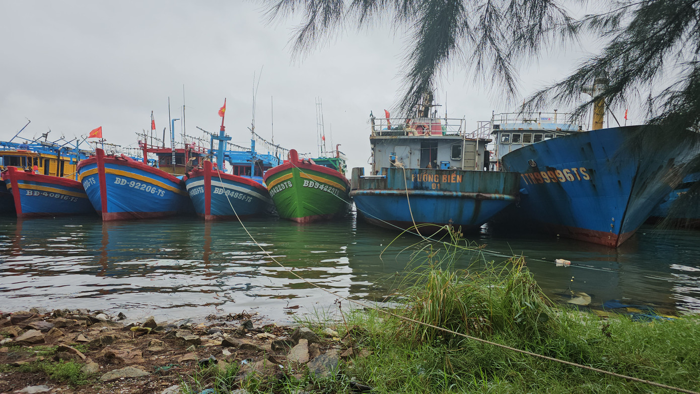 Các tàu cá hoạt động trên vùng biển TT-Huế đã được kêu gọi vào bờ neo đậu an toàn, cấm ra khơi trong thời gian xảy ra áp thấp nhiệt đới.