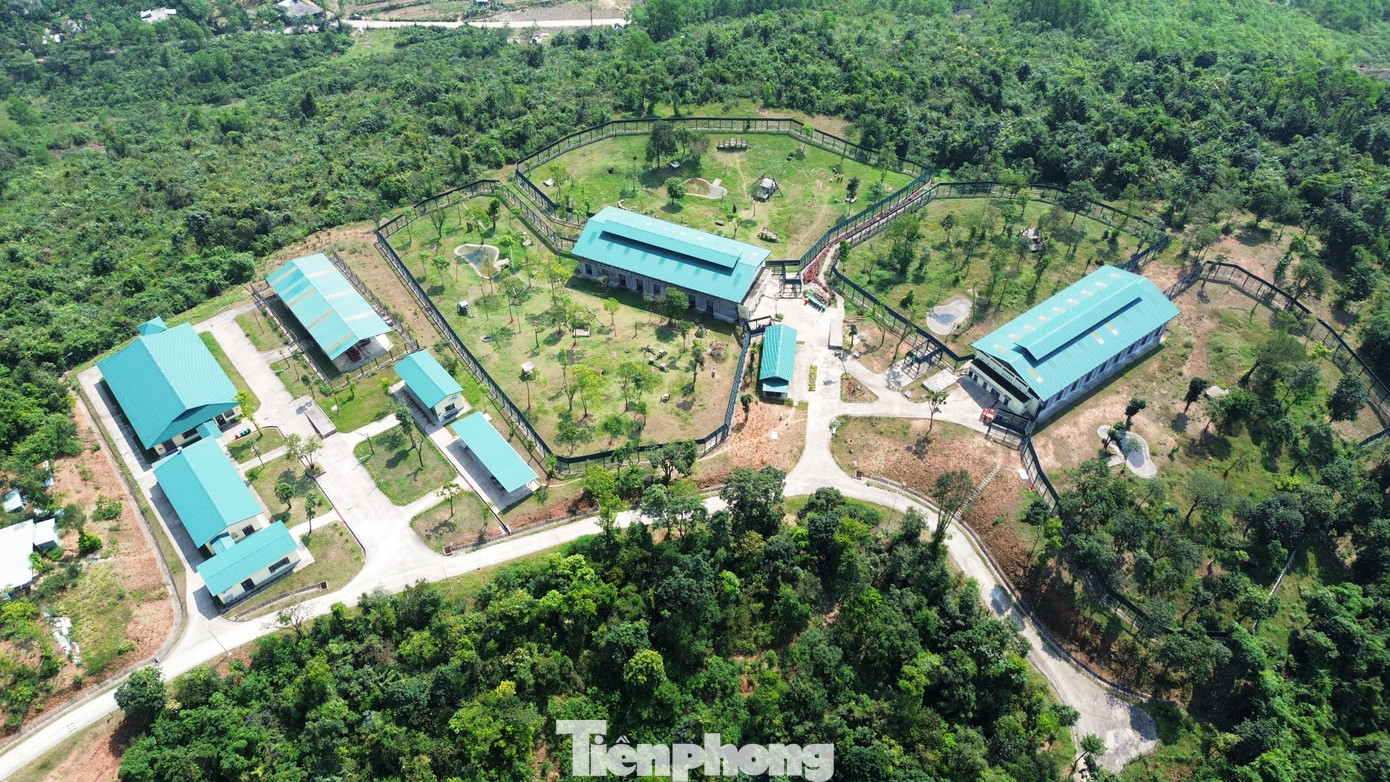 Trước đó, kể từ năm 2007, Tổ chức Động vật châu Á đã phối hợp cơ quan chức năng tại Việt Nam tiến hành cứu hộ hàng trăm cá thể gấu nuôi. Tổ chức này sẽ tiếp tục hỗ trợ Việt Nam trong quá trình chấm dứt nạn nuôi nhốt gấu. Theo bà Heidi Quine -Trưởng đại diện Tổ chức Động vật Châu Á tại Việt Nam, đơn vị đã hợp tác cùng Cục Kiểm lâm để cứu hộ hơn 280 cá thể gấu, chuyển đến các trung tâm đạt tiêu chuẩn quốc tế tại Vườn Quốc gia Bạch Mã và Vườn Quốc gia Tam Đảo. Trước đó, kể từ năm 2007, Tổ chức Động vật châu Á đã phối hợp cơ quan chức năng tại Việt Nam tiến hành cứu hộ hàng trăm cá thể gấu nuôi. Tổ chức này sẽ tiếp tục hỗ trợ Việt Nam trong quá trình chấm dứt nạn nuôi nhốt gấu. Theo bà Heidi Quine -Trưởng đại diện Tổ chức Động vật Châu Á tại Việt Nam, đơn vị đã hợp tác cùng Cục Kiểm lâm để cứu hộ hơn 280 cá thể gấu, chuyển đến các trung tâm đạt tiêu chuẩn quốc tế tại Vườn Quốc gia Bạch Mã và Vườn Quốc gia Tam Đảo.