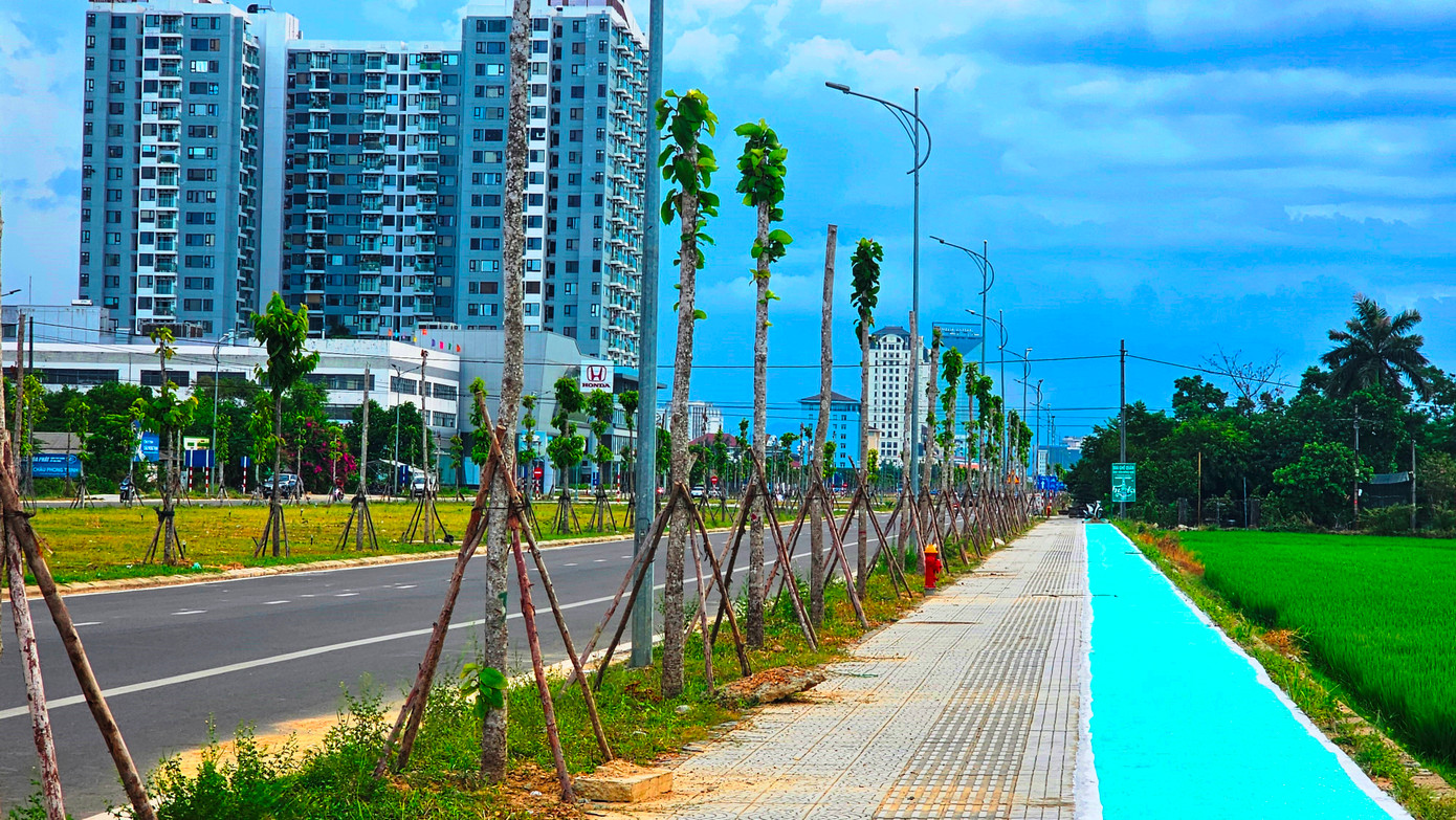 Cùng với đó, hệ thống cây xanh đô thị trước đây đã được thay thế bởi hàng nghìn cây dầu rái trồng tại khu công viên trung tâm hành chính, các trục đường Tố Hữu, Võ Nguyên Giáp thuộc khu đô thị mới An Vân Dương. Cùng với đó, hệ thống cây xanh đô thị trước đây đã được thay thế bởi hàng nghìn cây dầu rái trồng tại khu công viên trung tâm hành chính, các trục đường Tố Hữu, Võ Nguyên Giáp thuộc khu đô thị mới An Vân Dương.
