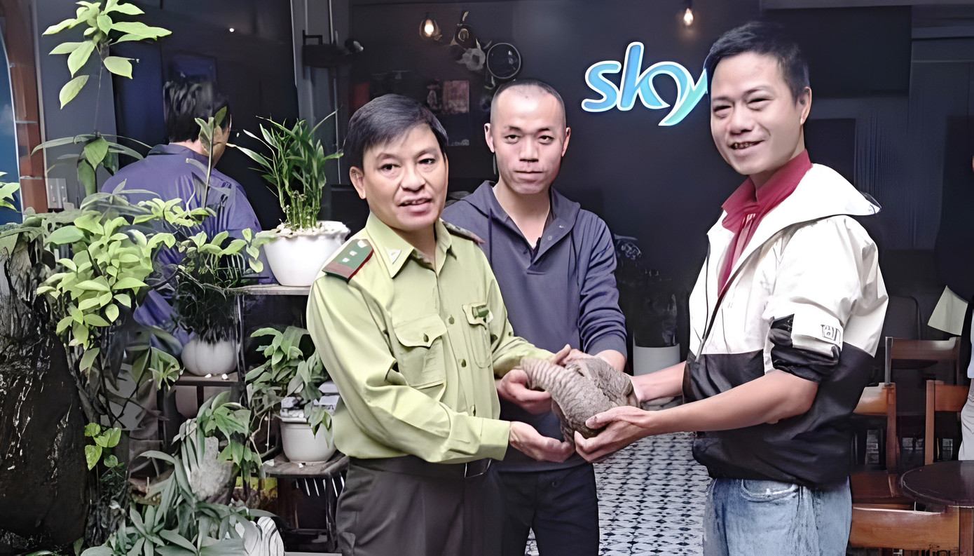 Người dân giao nộp cá thể tê tê Java quý hiếm cho lực lượng kiểm lâm sau khi bắt được con vật chạy lạc trên đường phố ở TP. Huế. Ảnh: KLCC Người dân giao nộp cá thể tê tê Java quý hiếm cho lực lượng kiểm lâm sau khi bắt được con vật chạy lạc trên đường phố ở TP. Huế. Ảnh: KLCC