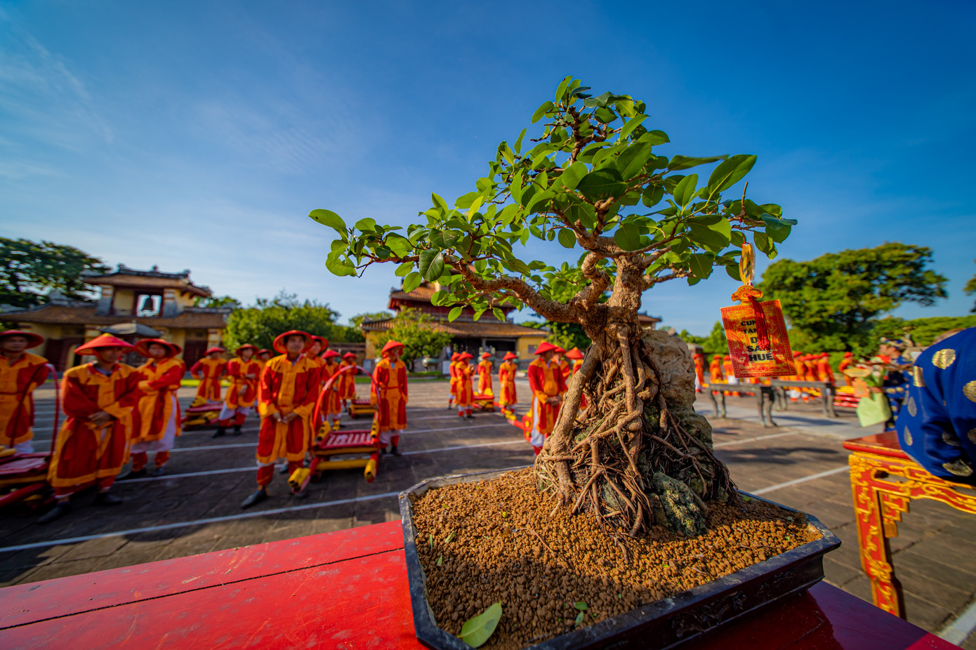 Thông qua triển lãm nhằm kết nối các nghệ nhân sinh vật cảnh trên toàn quốc, quy tụ những tác phẩm đẹp, dáng thế độc lạ, “kỳ hoa, dị thảo” hội ngộ về Cố đô Huế. Thông qua triển lãm nhằm kết nối các nghệ nhân sinh vật cảnh trên toàn quốc, quy tụ những tác phẩm đẹp, dáng thế độc lạ, “kỳ hoa, dị thảo” hội ngộ về Cố đô Huế.