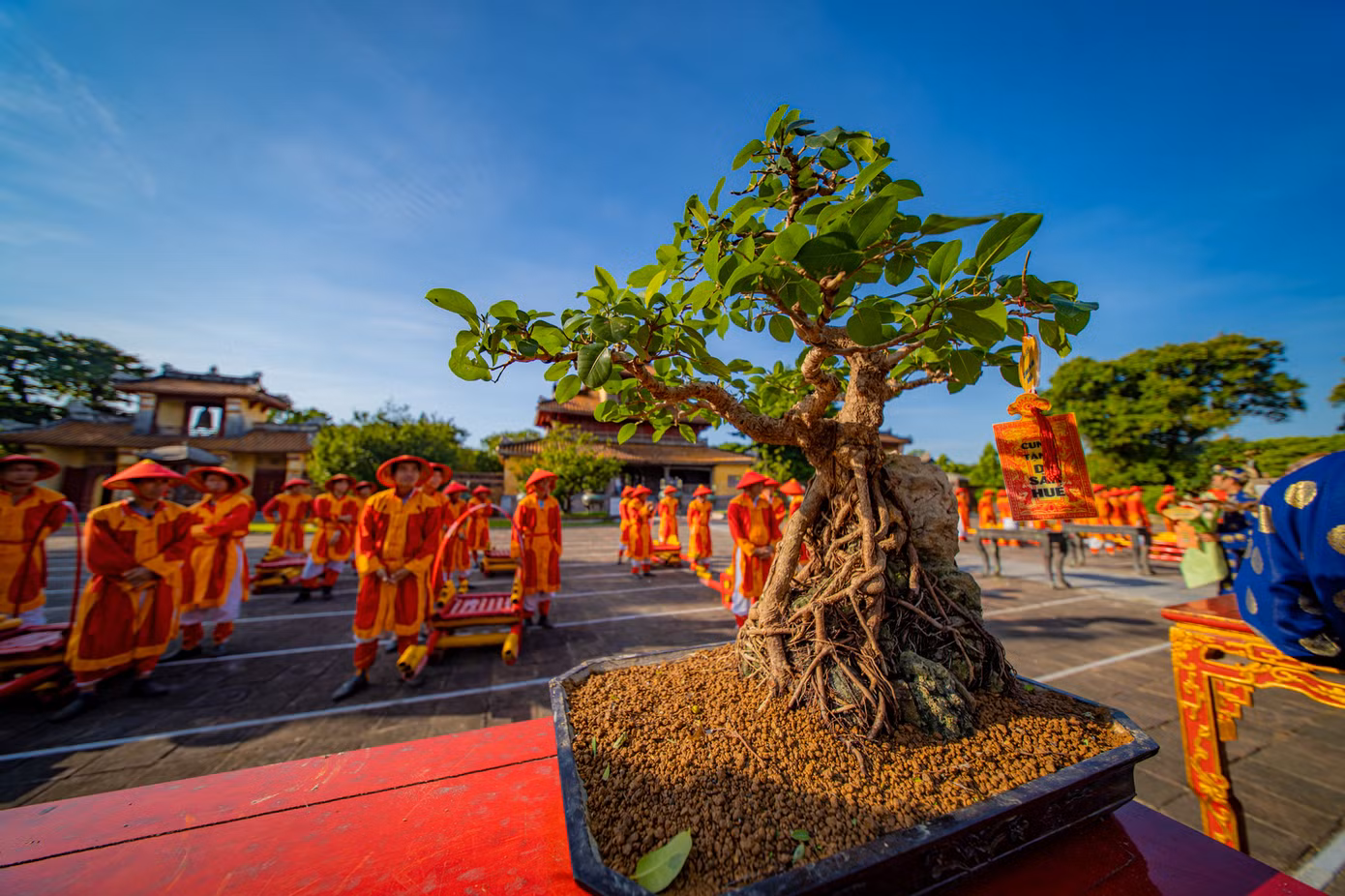 Thông qua triển lãm nhằm kết nối các nghệ nhân sinh vật cảnh trên toàn quốc, quy tụ những tác phẩm đẹp, dáng thế độc lạ, “kỳ hoa, dị thảo” hội ngộ về Cố đô Huế.