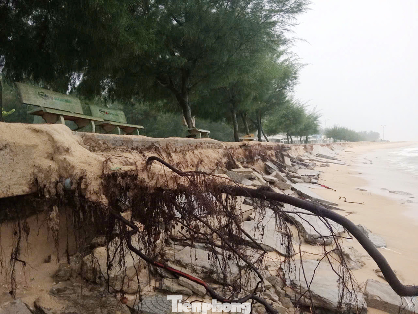 Khu vực bờ biển sạt lở xã Phú Thuận và phường Thuận An (thành phố Huế) vừa được Chủ tịch UBND tỉnh TT-Huế công bố tình huống khẩn cấp về thiên tai. Khu vực bờ biển sạt lở xã Phú Thuận và phường Thuận An (thành phố Huế) vừa được Chủ tịch UBND tỉnh TT-Huế công bố tình huống khẩn cấp về thiên tai.