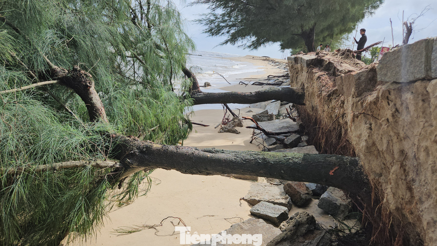 Riêng trong hai ngày 21 và 22/10, đoạn bờ biển từ vị trí cách mép chân kè bờ thôn Tân An 150 m hướng lên khu vực giáp ranh phường Thuận An, với chiều dài khoảng 150 m, xảy ra sạt lở mức độ nghiêm trọng. Có nơi trên tuyến, sóng biển xâm thực đã phá hỏng vỉa hè đường đi bộ của khu bãi tắm Phú Thuận, cuốn bật gốc nhiều cây dương liễu phòng hộ bờ biển, gây nguy cơ rất cao ảnh hưởng đến các nhà hàng, điểm dịch vụ du lịch tại khu vực này.
