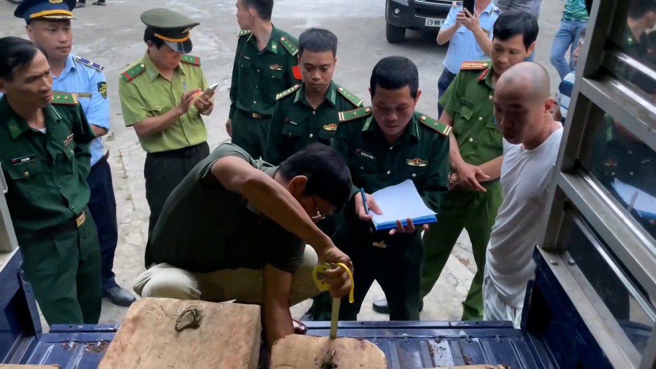 Lực lượng liên ngành kiểm tra số gỗ vận chuyển trái phép được phát hiện quả tang tại phường Thuận An, TP. Huế.