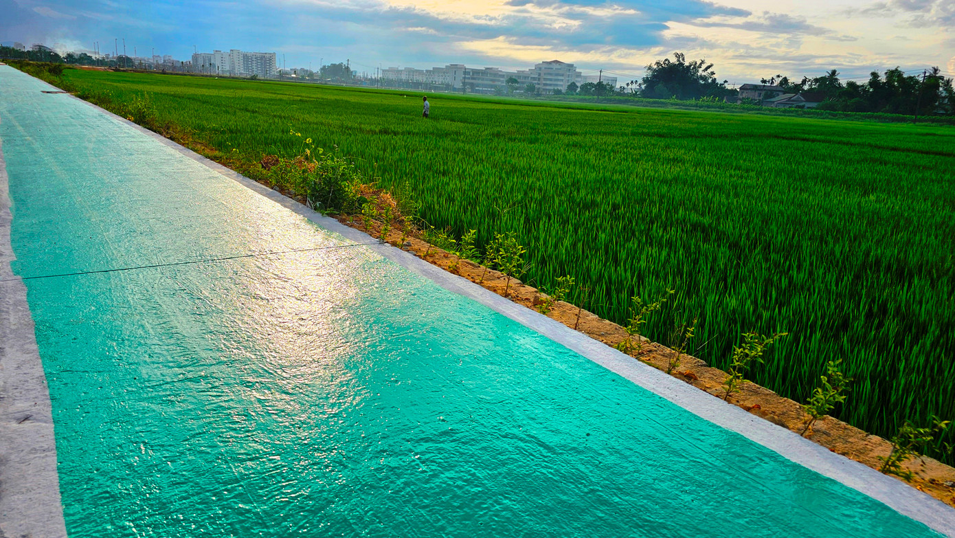 Vỉa hè xanh chạy qua những cánh đồng xanh thuộc phường An Đông, TP. Huế. Vỉa hè xanh chạy qua những cánh đồng xanh thuộc phường An Đông, TP. Huế.