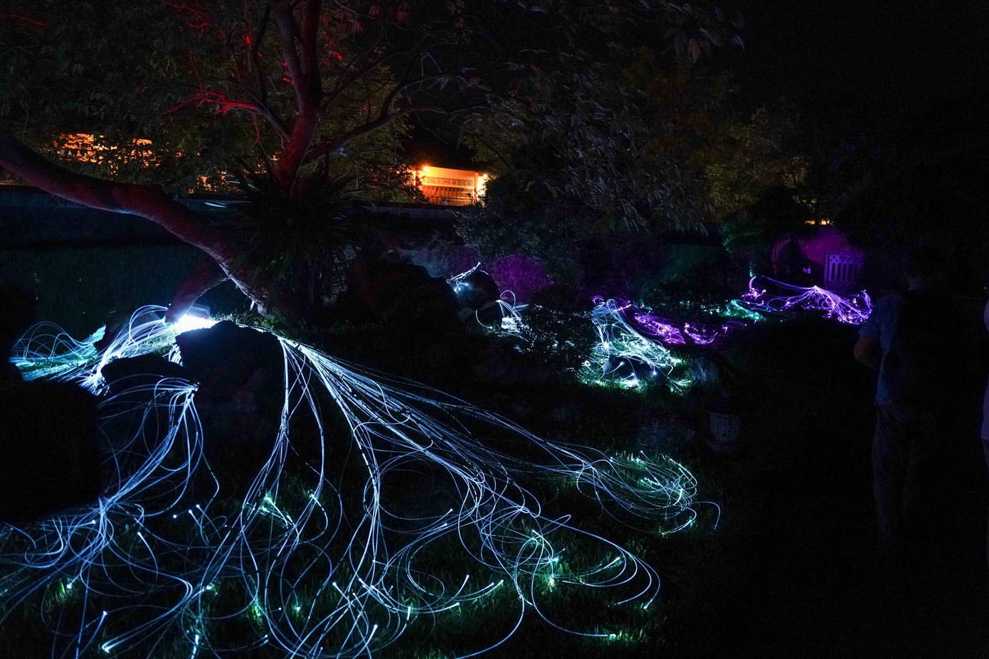 Công nghệ được sử dụng để phục vụ trải nghiệm người xem và được thiết kế để du khách không thể nhận biết.