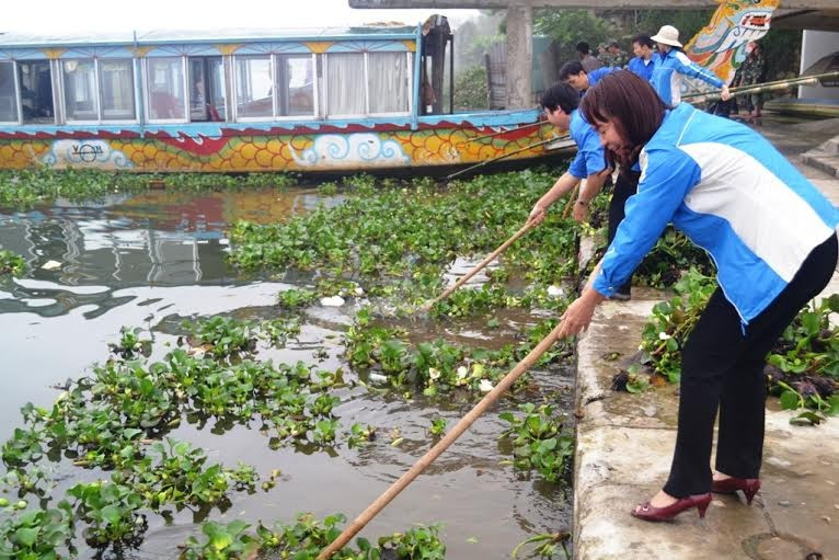 Lực lượng đoàn viên, thanh niên Thừa Thiên-Huế từng được huy động phối hợp công nhân môi trường để thu dọn, xử lý bèo tây phát tán mạnh ven sông Hương đoạn qua trung tâm TP. Huế.