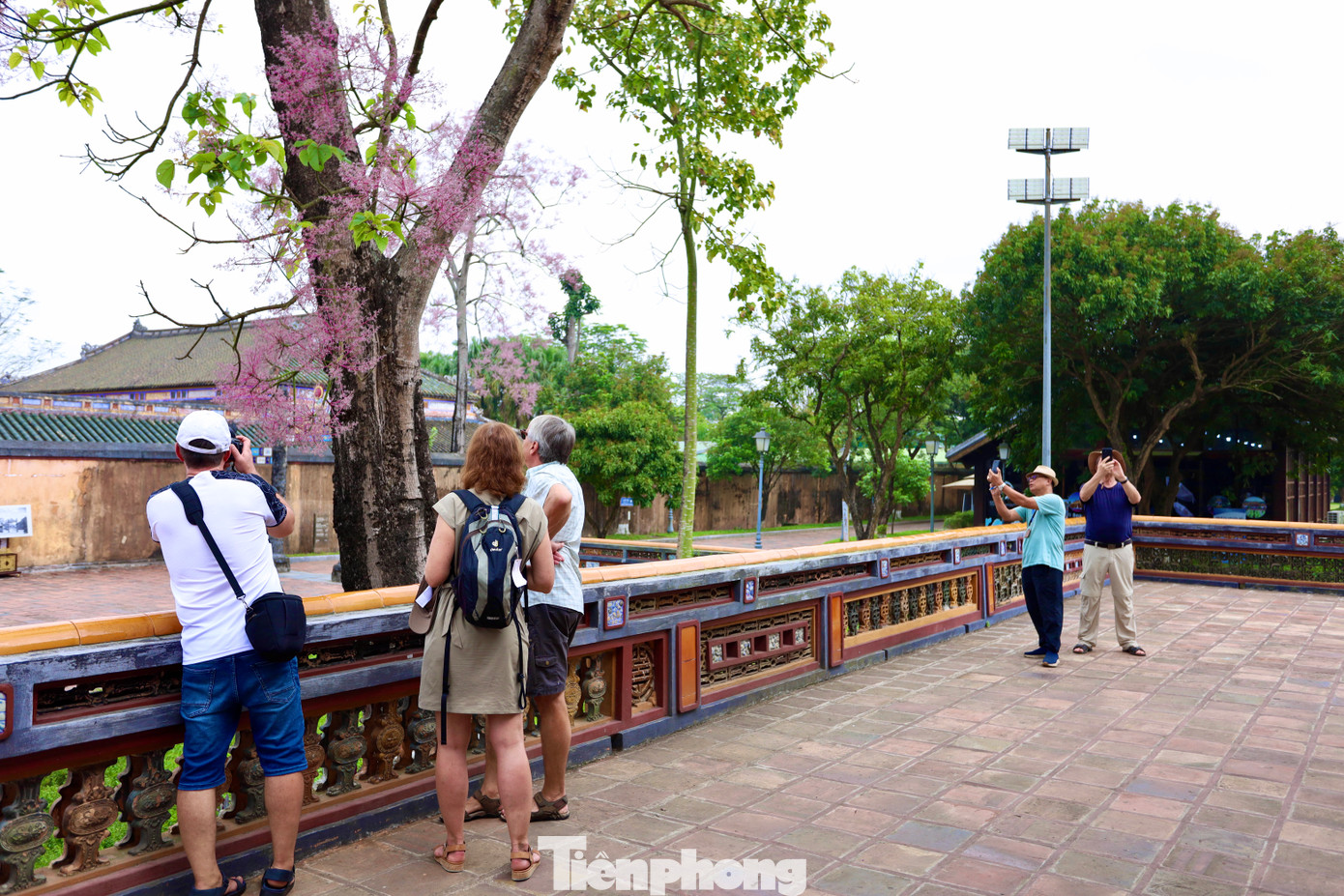 Ông Nguyễn Văn Thành (71 tuổi, du khách đến từ Hà Nội) thốt lên rằng: “Cây ngô đồng nở hoa tạo điểm nhấn đặc biệt cho Đại nội Huế. Nó hài hòa với khung cảnh nơi đây, mang lại cảm giác yên bình và thú vị”. Trong khi đó, du khách Phạm Hằng (đến từ Lào Cai) ngỡ ngàng: “Thấy cây ngô đồng nở hoa, tôi cảm nhận được điểm nhấn độc đáo của Đại nội Huế. Nó truyền cảm hứng để tôi chụp ảnh và quay video lưu lại kỷ niệm đẹp”. Ông Nguyễn Văn Thành (71 tuổi, du khách đến từ Hà Nội) thốt lên rằng: “Cây ngô đồng nở hoa tạo điểm nhấn đặc biệt cho Đại nội Huế. Nó hài hòa với khung cảnh nơi đây, mang lại cảm giác yên bình và thú vị”. Trong khi đó, du khách Phạm Hằng (đến từ Lào Cai) ngỡ ngàng: “Thấy cây ngô đồng nở hoa, tôi cảm nhận được điểm nhấn độc đáo của Đại nội Huế. Nó truyền cảm hứng để tôi chụp ảnh và quay video lưu lại kỷ niệm đẹp”.