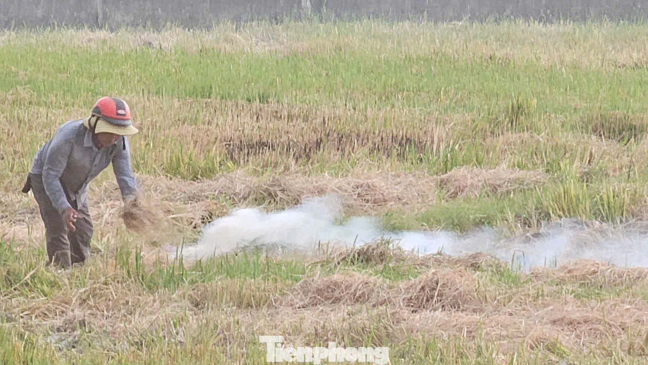 Việc đốt đồng không chỉ diễn ra lén lút mà còn được thực hiện công khai, như trường hợp này tại khoảnh đồng ở phường An Đông, cạnh đường Tố Hữu, gần khu chung cư cao cấp Nera Garden (quận Thuận Hóa). Việc đốt đồng không chỉ diễn ra lén lút mà còn được thực hiện công khai, như trường hợp này tại khoảnh đồng ở phường An Đông, cạnh đường Tố Hữu, gần khu chung cư cao cấp Nera Garden (quận Thuận Hóa).
