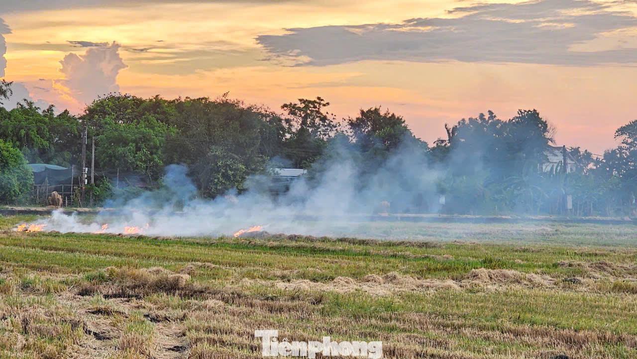 Việc đốt đồng không chỉ diễn ra lén lút mà còn được thực hiện công khai, như trường hợp này tại khoảnh đồng ở phường An Đông, cạnh đường Tố Hữu, gần khu chung cư cao cấp Nera Garden (quận Thuận Hóa). Việc đốt đồng không chỉ diễn ra lén lút mà còn được thực hiện công khai, như trường hợp này tại khoảnh đồng ở phường An Đông, cạnh đường Tố Hữu, gần khu chung cư cao cấp Nera Garden (quận Thuận Hóa).
