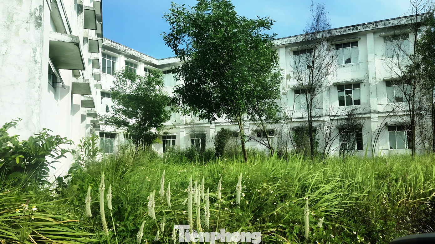 Tuy nhiên, sau một thời gian hoạt động thiếu hiệu quả, nơi đây trở nên xuống cấp, khuôn viên bệnh viện bị cây dại và cỏ tranh bủa vây, lãng phí cơ sở vật chất, tạo nên sự kỳ vọng dang dở của nhiều người dân khu vực phía nam thành phố Huế. (Hình tư liệu)