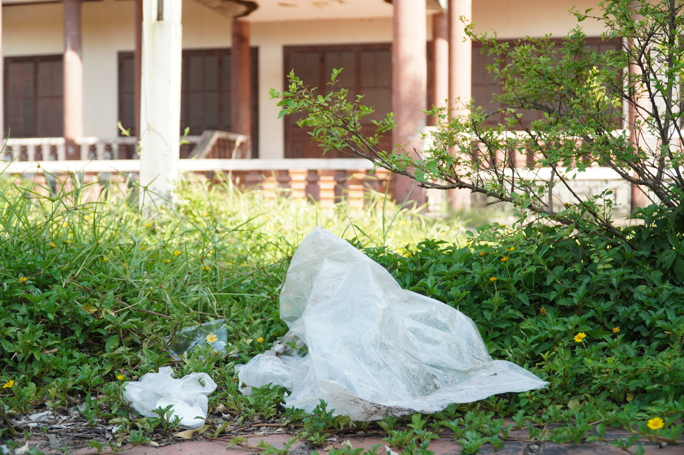 Từ đó, khu Trung tâm giới thiệu sản phẩm đúc đồng truyền thống Huế rơi vào cảnh hoang phế; khuôn viên bị cỏ dại, rác thải bủa vây.
