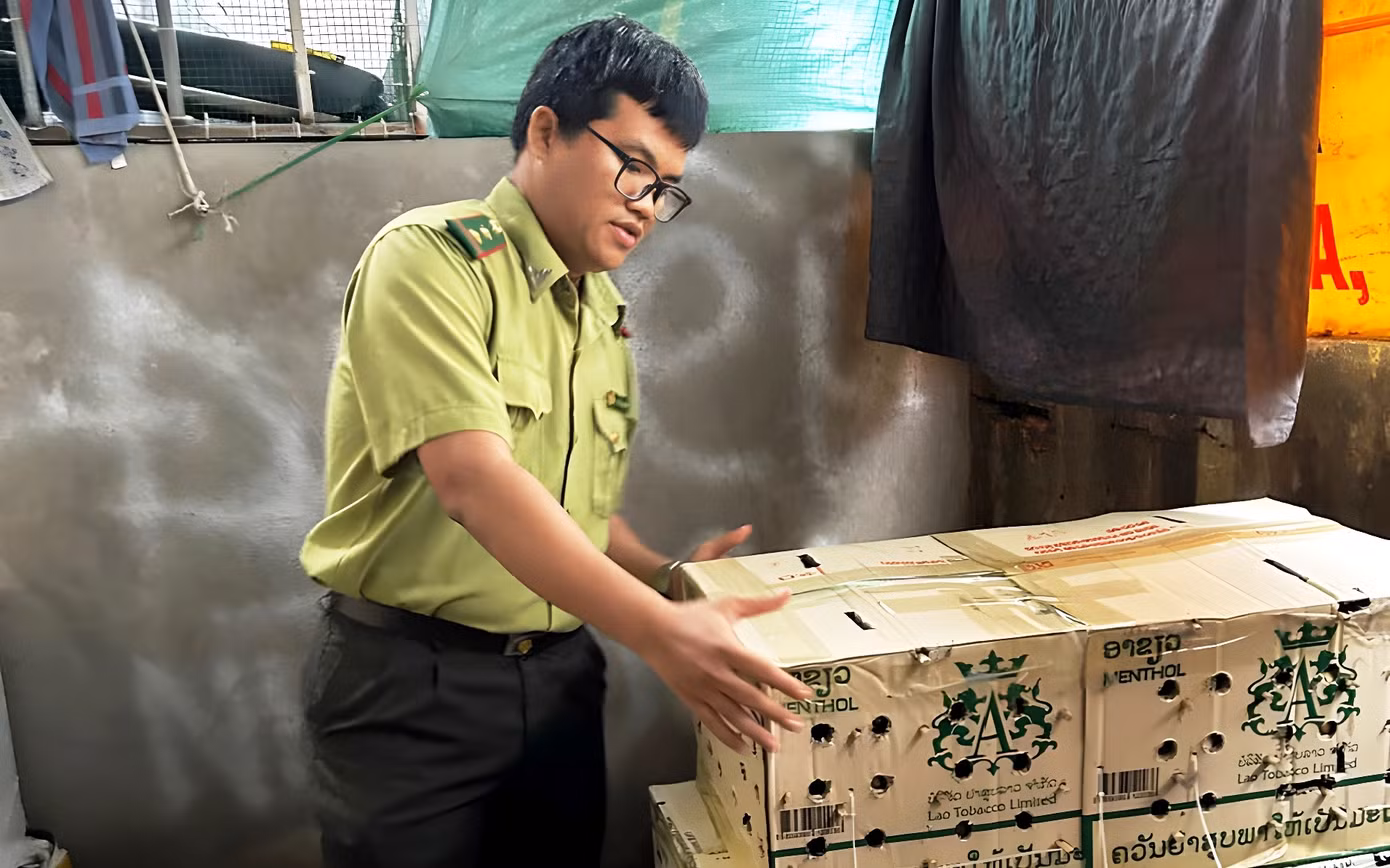 Hàng trăm cá thể chim chào mào được cất giấu tinh vi bằng các thùng carton ngụy trang chờ vận chuyển từ Huế đi nơi khác để tiêu thụ.