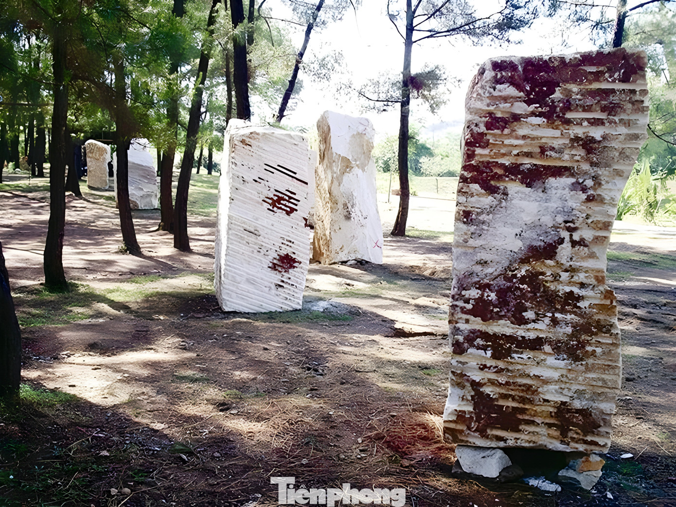 Năm 2006, trong khuôn khổ Festival Huế lần thứ 4, Trại sáng tác điêu khắc quốc tế (TSTĐKQT) “Ấn tượng Huế - Việt Nam 2006” diễn ra tại đồi Thiên An (thuộc khuôn viên Khu du lịch Thủy Tiên, nay thường được gọi là công viên rùng rợn, ma mị). Để rồi các tác phẩm mỹ thuật đầy tâm huyết này bị “nhốt” trong khuôn viên khu du lịch của doanh nghiệp. Đồng nghĩa, muốn thưởng thức các tác phẩm điêu khắc, công chúng phải bỏ tiền mua vé vào cổng, trong khi đây lại là tài sản văn hóa của nhà nước.