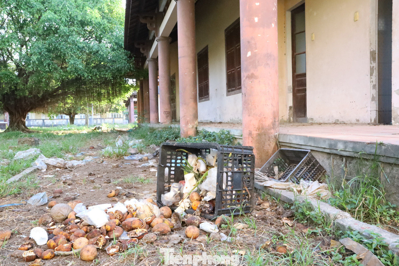 Khuôn viên Trung tâm giới thiệu sản phẩm nghề đúc đồng truyền thống Huế hiện phủ đầy rác, phân thải động vật, bùn đất... Lối đi sau dãy nhà ki-ốt cỏ dại mọc um tùm, ít khi được làm vệ sinh, dọn dẹp.