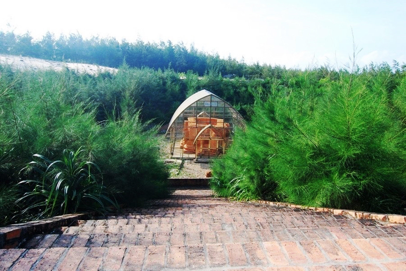 Đây là hoạt động hưởng ứng, đồng hành nhằm làm phong phú thêm các chương trình văn hóa, nghệ thuật, sự kiện thuộc khuôn khổ tuần lễ cao điểm Festival Huế 2022.