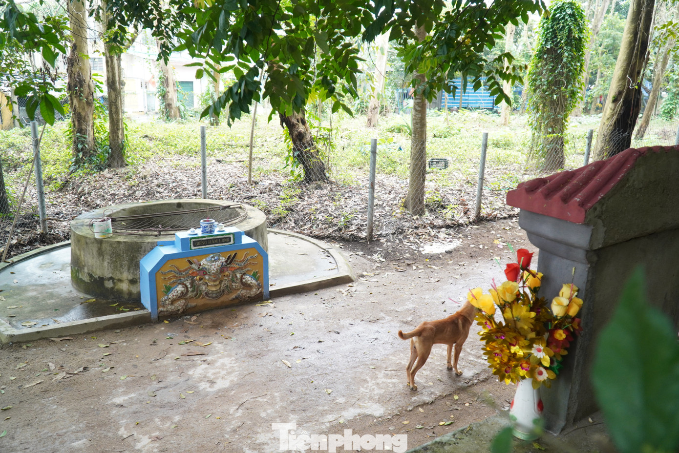 Còn theo một truyền thuyết khác, giếng Hàm Long gắn với chùa Báo Quốc được xây dựng từ thế kỷ XVII. Một hôm, Thiền sư Giác Phong khát nước bèn đào một cái giếng ở dưới chân núi. Lúc bắt đầu đào được ba nhát đất thì có mạch nước trong vắt phun lên tựa như miệng rồng. Dòng nước ngon ngọt và mát lạnh, rửa mặt xong tạo cảm thấy khoan khoái, tràn đầy sinh lực. Từ đó về sau, giếng nước được đặt tên là Hàm Long tĩnh. Còn theo một truyền thuyết khác, giếng Hàm Long gắn với chùa Báo Quốc được xây dựng từ thế kỷ XVII. Một hôm, Thiền sư Giác Phong khát nước bèn đào một cái giếng ở dưới chân núi. Lúc bắt đầu đào được ba nhát đất thì có mạch nước trong vắt phun lên tựa như miệng rồng. Dòng nước ngon ngọt và mát lạnh, rửa mặt xong tạo cảm thấy khoan khoái, tràn đầy sinh lực. Từ đó về sau, giếng nước được đặt tên là Hàm Long tĩnh.