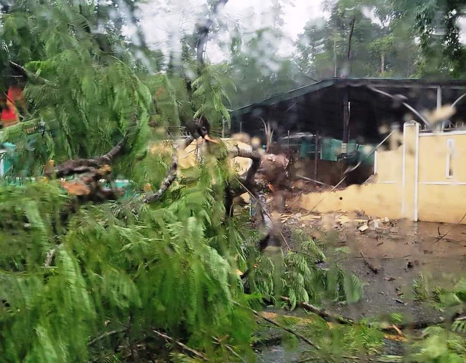 Cây đổ làm sập bức tường bao của Trường THCS Nguyễn Thị Minh Khai. Cây đổ làm sập bức tường bao của Trường THCS Nguyễn Thị Minh Khai.