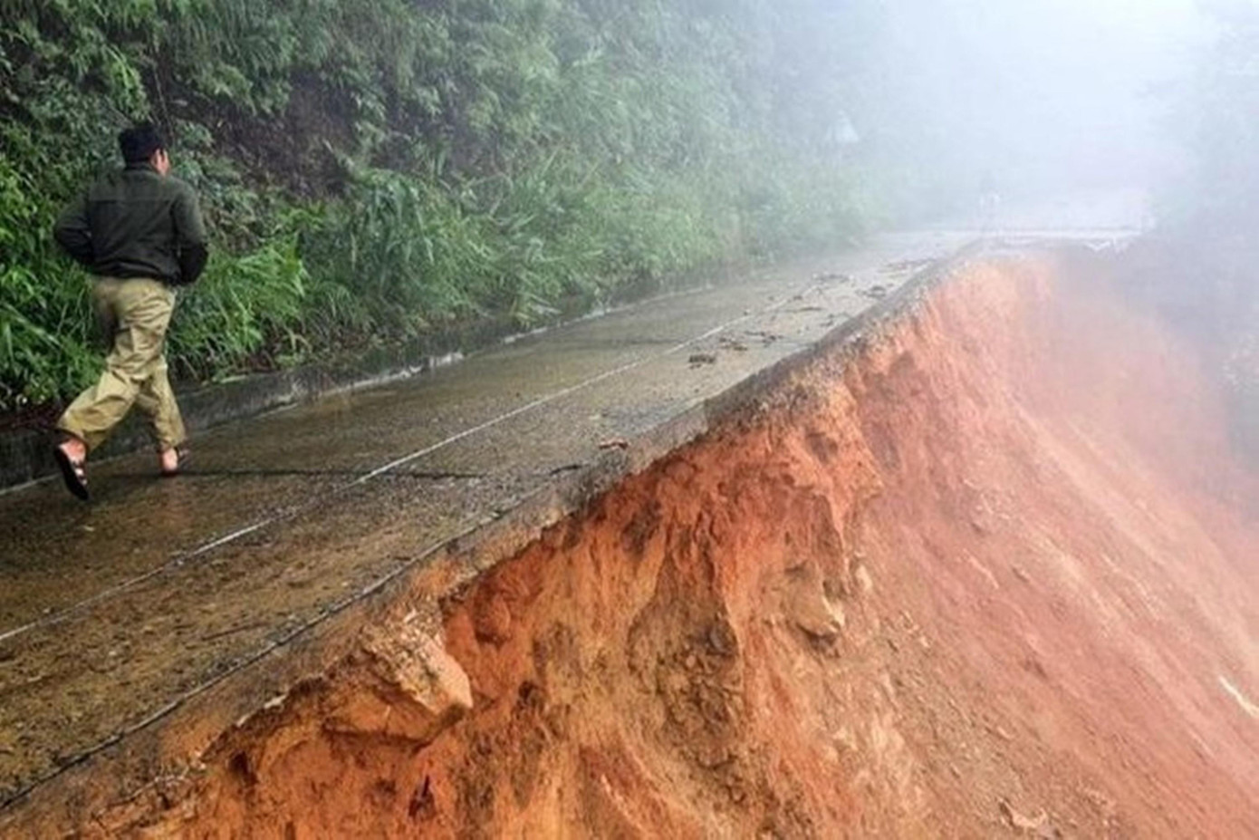 Giám đốc Vườn Quốc gia Bạch Mã Nguyễn Vũ Linh cho biết, vụ sạt lở này được xem là lớn nhất từ trước đến nay tại Bạch Mã. Đây là sự cố bất khả kháng do thiên tai, gây mất ổn định và an toàn cho tuyến đường chuyên phục vụ bảo vệ rừng, cũng như phát triển du lịch sinh thái.