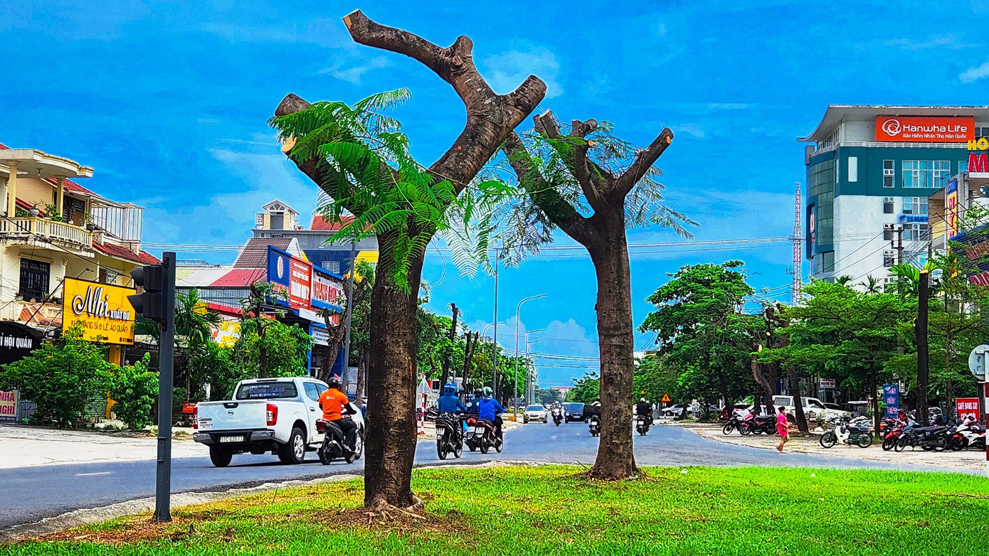 Những ngày gần đây, nhiều người lưu thông qua tuyến đường Phạm Văn Đồng nối hai phường Vĩ Dạ và Phú Thượng (TP Huế) không khỏi bất ngờ khi chứng kiến nhiều cây xanh đường phố bị “trảm” trụi cành ngọn, tán lá xanh vốn để tạo cảnh quan, sinh thái, bóng mát cho đô thị. Ảnh: Ngọc Văn