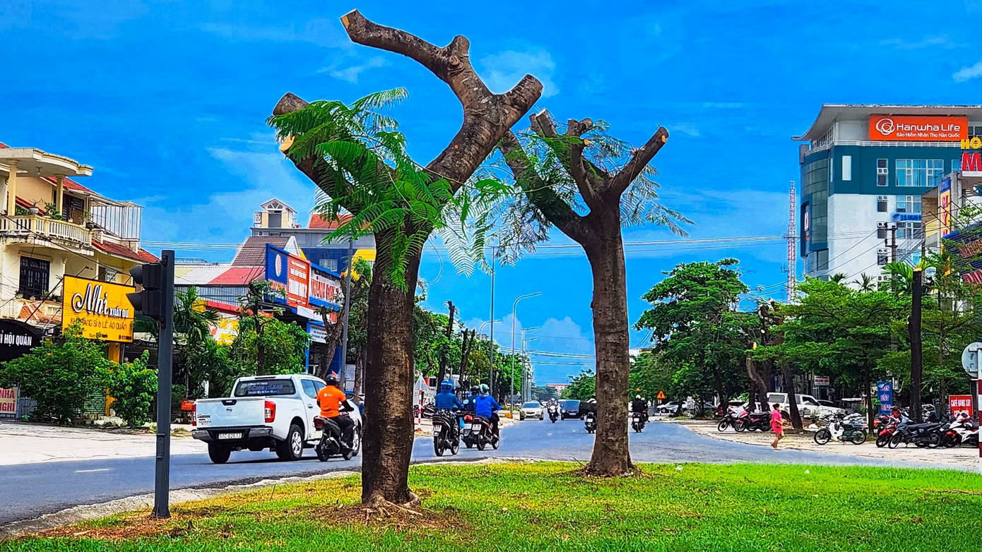 Những ngày gần đây, nhiều người lưu thông qua tuyến đường Phạm Văn Đồng nối hai phường Vĩ Dạ và Phú Thượng (TP Huế) không khỏi bất ngờ khi chứng kiến nhiều cây xanh đường phố bị “trảm” trụi cành ngọn, tán lá xanh vốn để tạo cảnh quan, sinh thái, bóng mát cho đô thị. Ảnh: Ngọc Văn Những ngày gần đây, nhiều người lưu thông qua tuyến đường Phạm Văn Đồng nối hai phường Vĩ Dạ và Phú Thượng (TP Huế) không khỏi bất ngờ khi chứng kiến nhiều cây xanh đường phố bị “trảm” trụi cành ngọn, tán lá xanh vốn để tạo cảnh quan, sinh thái, bóng mát cho đô thị. Ảnh: Ngọc Văn