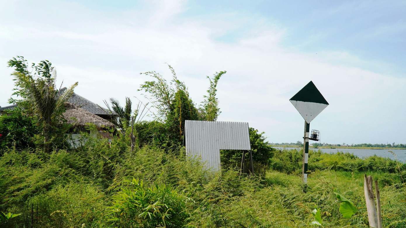Cây dại, cây gai mắt mèo dày kín phía ngoài các nhà cửa xây không phép Cây dại, cây gai mắt mèo dày kín phía ngoài các nhà cửa xây không phép