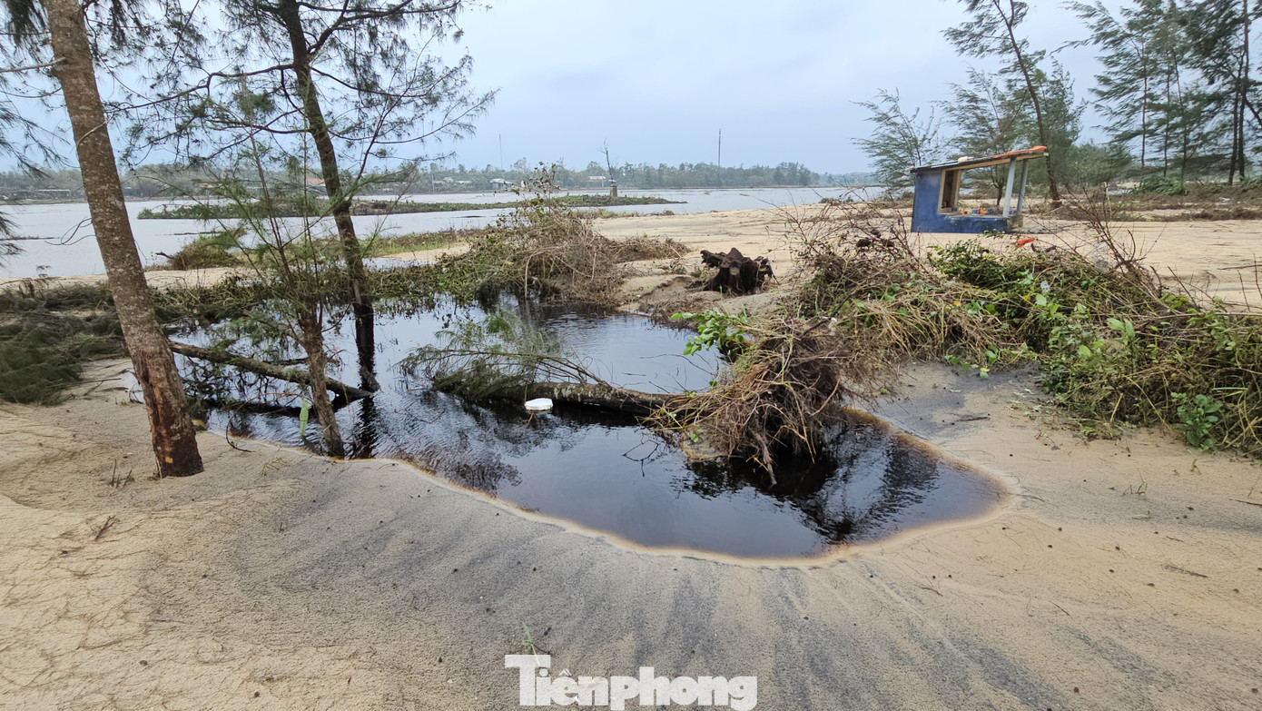 Rừng phòng hộ bị thu hẹp nhanh chóng khiến sóng biển, triều cường dâng cao luôn có nguy cơ xé toang cồn cát ngăn cách, mở lạch biển mới xâm nhập vào tận ruộng đồng.