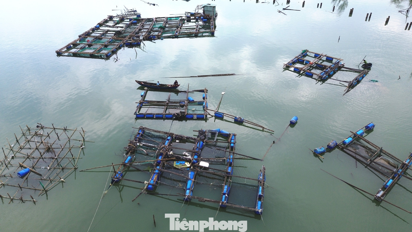 Ngư dân Nguyễn Văn Thạnh cho biết nuôi cá lồng ở Lăng Cô cho giá trị kinh tế cao nhưng chi phí đầu tư cũng khá lớn, chăm nuôi vất vả, tốn kém. Riêng tiền cá giống ban đầu cho mỗi lồng nuôi đã hơn 20 triệu đồng, chi phí thức ăn cho cá hàng ngày cũng trên dưới 2 triệu đồng. Sau khi bão đi qua, nhiều ngư dân nuôi cá lồng tại Lăng Cô như anh Thạnh bỗng chốc trắng tay, hiện chưa biết phải khôi phục sản xuất bằng cách nào vì bao nhiêu vốn liếng đã đổ hết vào các lồng cá.