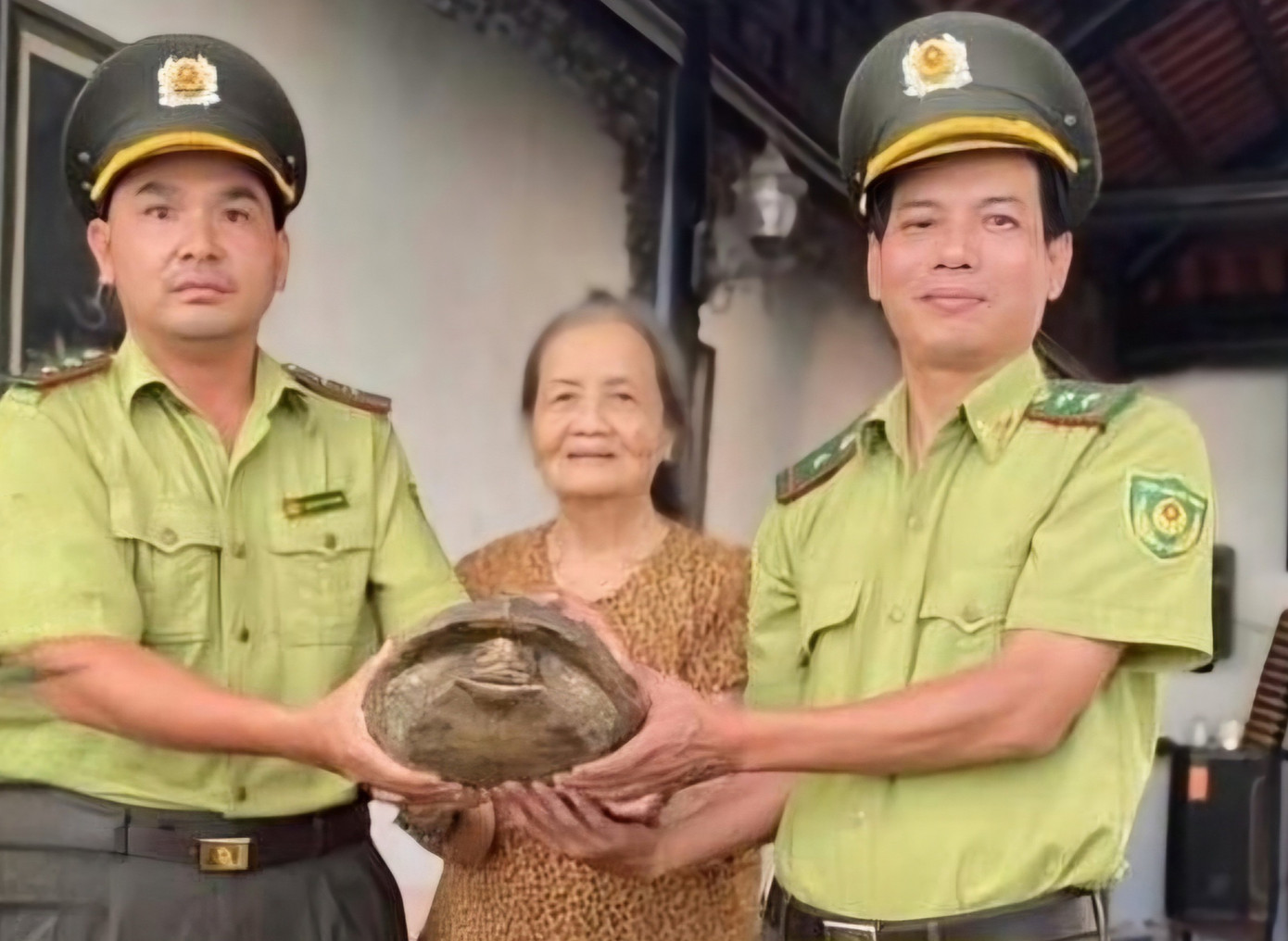 Người dân tự nguyện giao nộp rùa đất lớn quý hiếm cho lực lượng kiểm lâm. Người dân tự nguyện giao nộp rùa đất lớn quý hiếm cho lực lượng kiểm lâm.