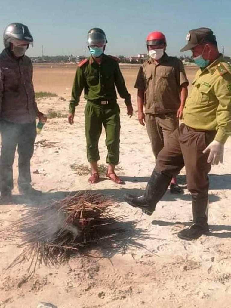Thu gom, tiêu hủy hàng nghìn bẫy dính dùng để đánh bắt cò. Ảnh: Kiểm lâm TT-Huế