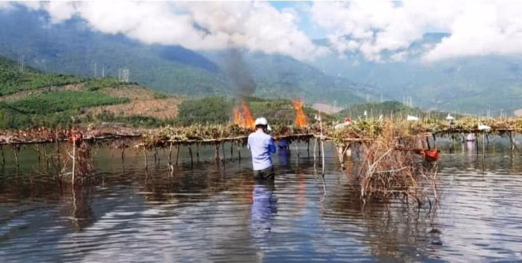 Đốt hủy các giàn bẫy chim lớn đặt trên mặt nước đầm phá. Ảnh: Kiểm lâm TT-Huế Đốt hủy các giàn bẫy chim lớn đặt trên mặt nước đầm phá. Ảnh: Kiểm lâm TT-Huế