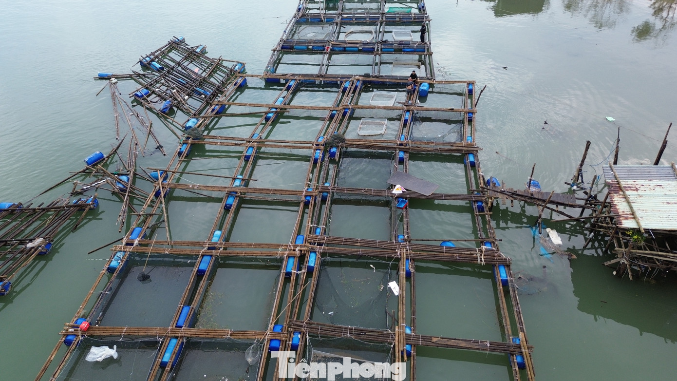 “Sau khi bão đi qua, chính quyền địa phương chỉ đạo các tổ dân phố rà soát, thống kê các hộ bị ảnh hưởng thiệt hại, từ đó tổng hợp báo cáo, đề nghị các cơ quan có thẩm quyền xem xét, có đề nghị chính sách hỗ trợ kịp thời cho bà con ổn định sinh kế”, ông Nhân thông tin.