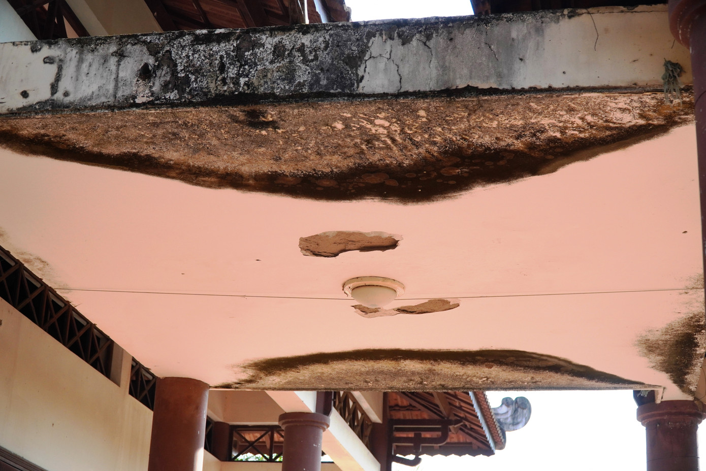 Rêu mốc bao phủ bề mặt công trình.