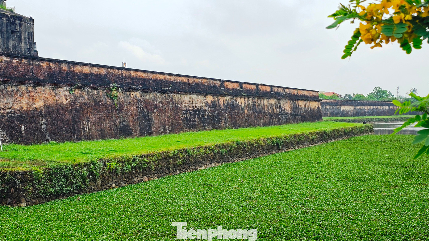 Trước đó, công tác trùng tu Kinh thành Huế đã được tiến hành ở mặt nam gần sông Hương và một phần mặt đông, góp phần bảo tồn kiến trúc lịch sử Cố đô Huế và nâng tầm giá trị cảnh quan.