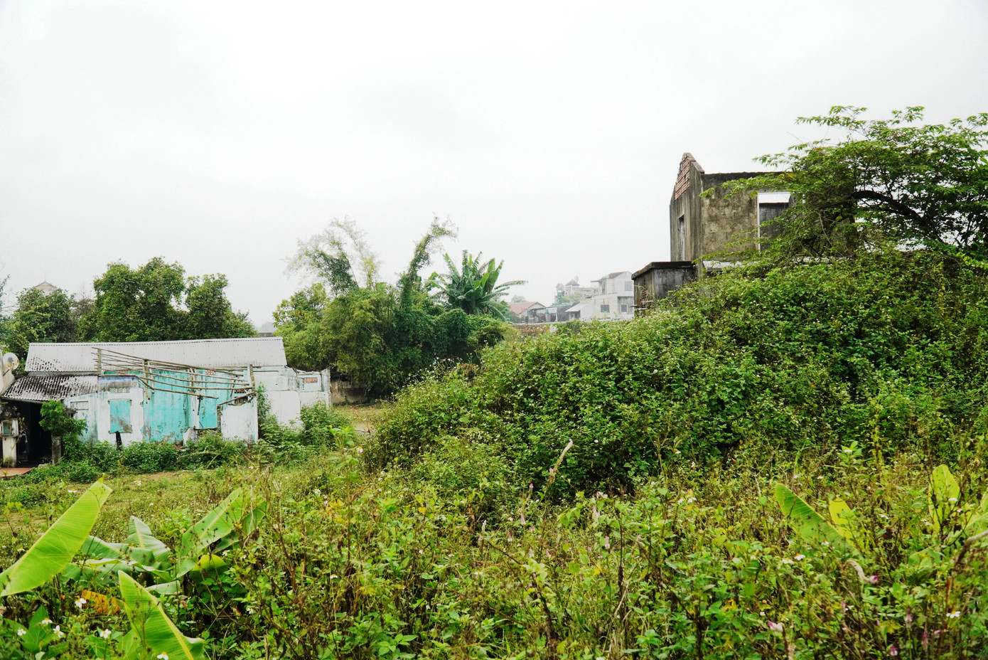 Theo Trung tâm Phát triển Quỹ đất thành phố Huế, khu vực các Eo bầu quanh Thượng thành hiện còn 99 hộ dân chưa bàn giao mặt bằng; tập trung nhiều nhất tại các phường Thuận Lộc (36 hộ), Đông Ba (30 hộ), Tây Lộc (24 hộ)…